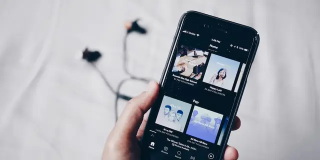 Which is the online music app with the best song quality?